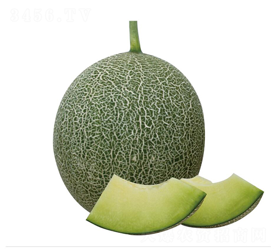 ��(m��ng)��-��ϷN��-��ľ�N��