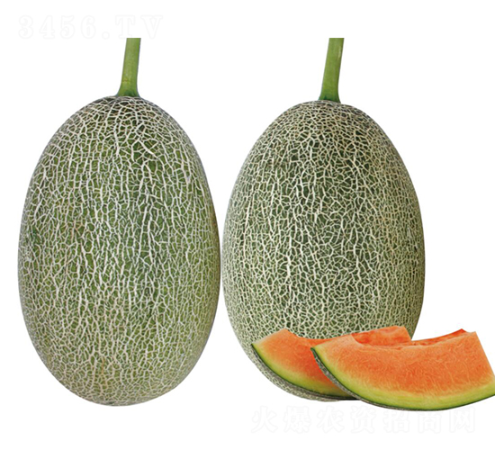 ����-��ϷN��-��ľ�N��