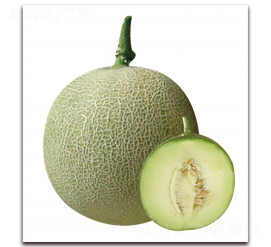 �ٴ�-��ϷN��-��ľ�N��