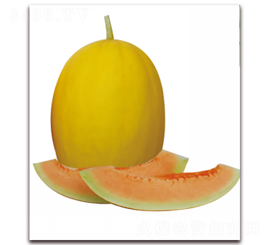 ����-��ϷN��-��ľ�N��