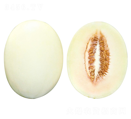 ����-��ϷN��-��ľ�N��