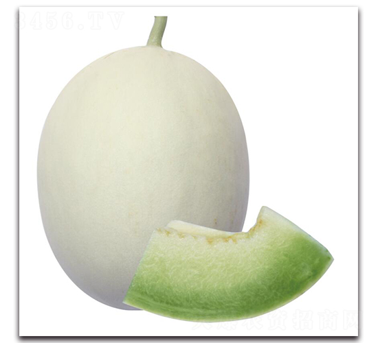 ����ѩ-��ϷN��-��ľ�N��