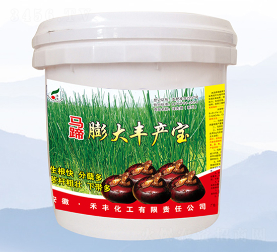 �R������S�a(ch��n)��-���S