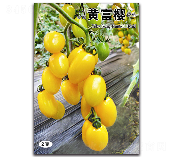 �S����-���ѷN��-��ľ�N��