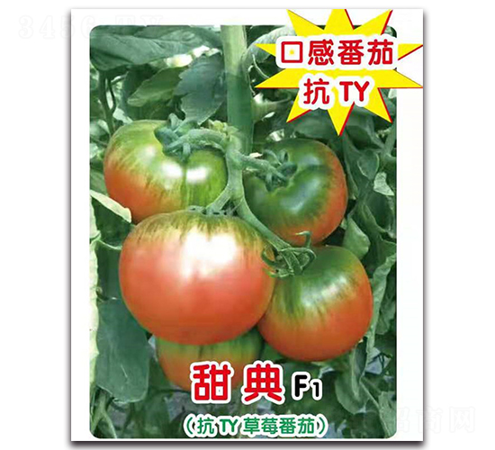 ���F1-���ѷN��-ʢ���N�I(y��)