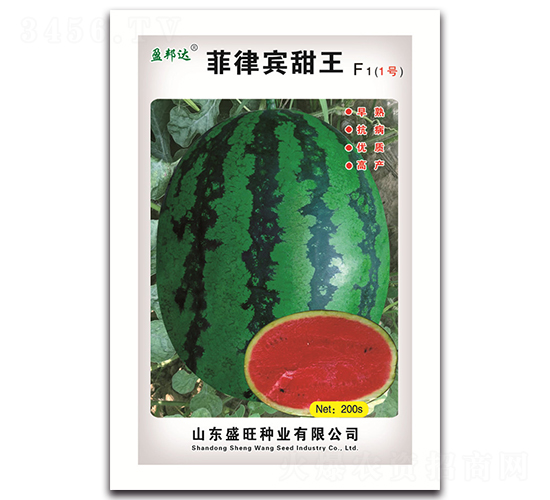 �����e����F1-���ϷN��-ʢ���N�I(y��)