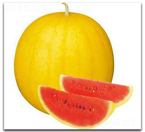 ��Ԫ��-���ϷN��-ʢ���N�I(y��)