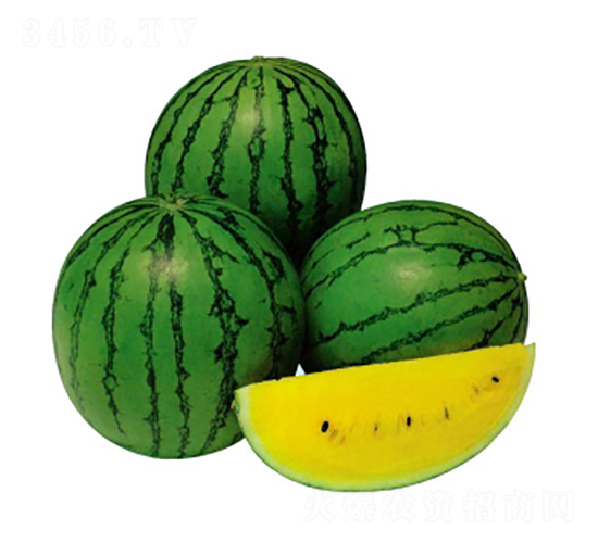 ����-���ϷN��-ʢ���N�I(y��)