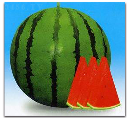 �OƷ����-���ϷN��-ʢ���N�I(y��)