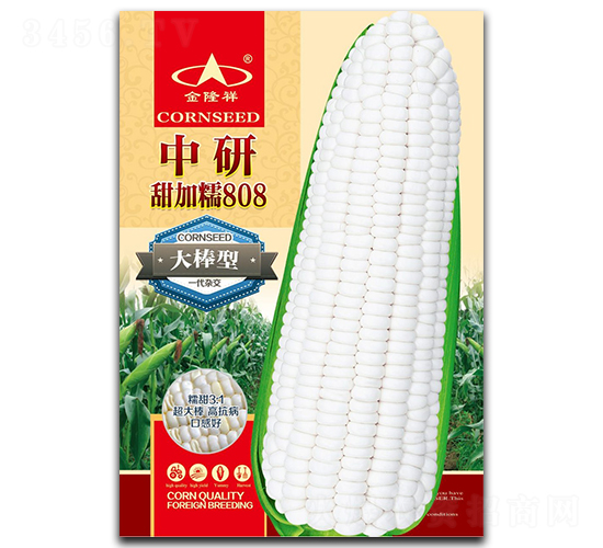 �������Ŵ808-Ŵ���׷N��-��¡��