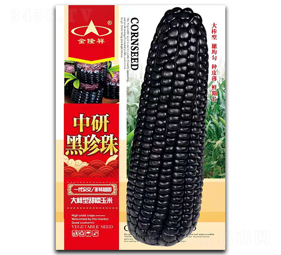 ���к�����-Ŵ���׷N��-��¡��