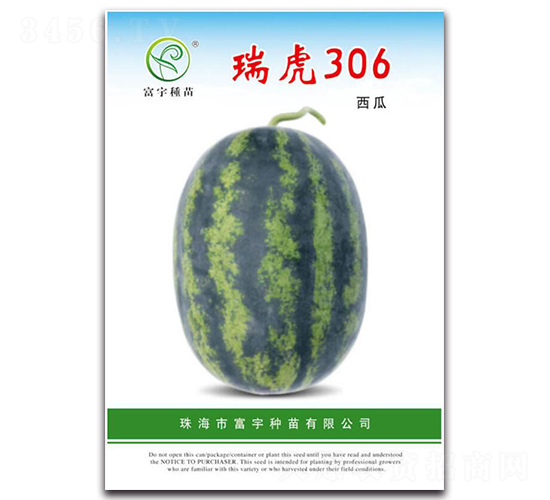 ��306����-���ϷN��-����N��