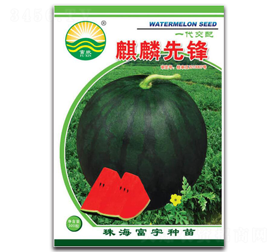 �������h-���ϷN��-����N��