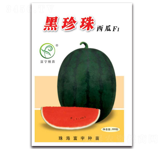 ����������F1-���ϷN��-����N��