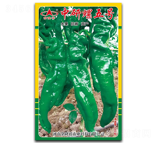 ��������̖(h��o)-�����N��-��¡��