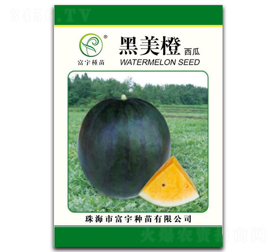 ����������-���ϷN��-����N��