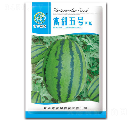 ������̖����-���ϷN��-����N��