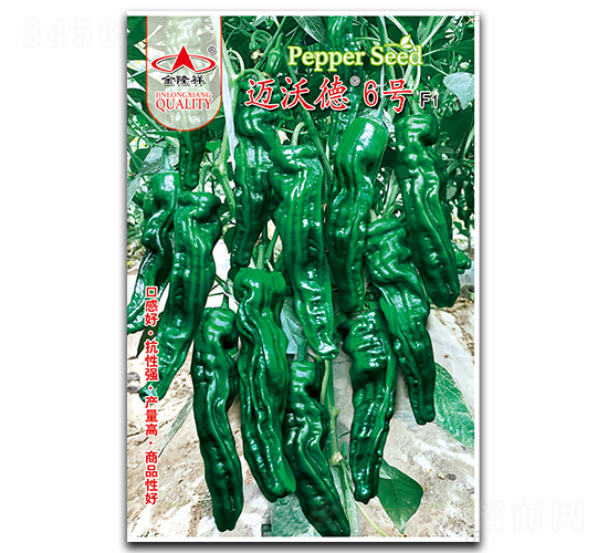 �~�ֵ�6̖-�����N��-��¡��