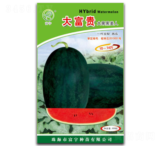 300�����F���������-���ϷN��-����N��