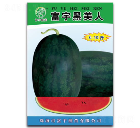 ���������-���ϷN��-����N��