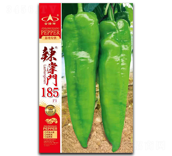 �����T(m��n)185-�����N��-��¡��