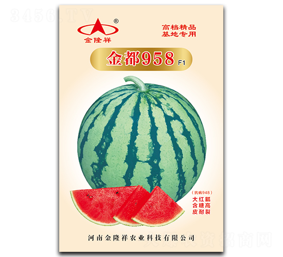 ��958-���ϷN��-��¡��