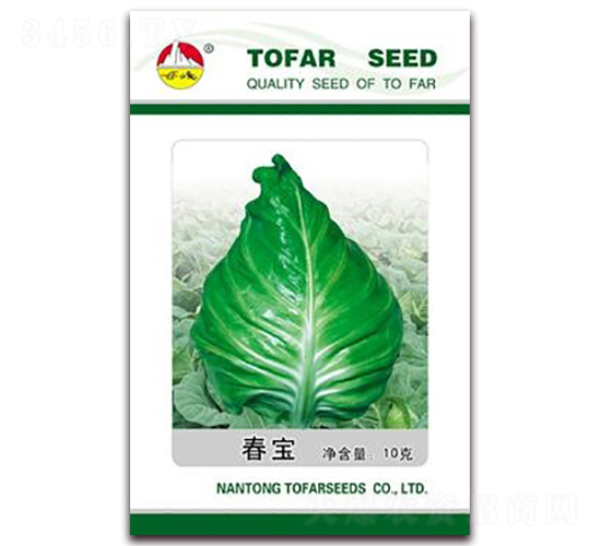 ����-���{�N��-�|���N�I(y��)