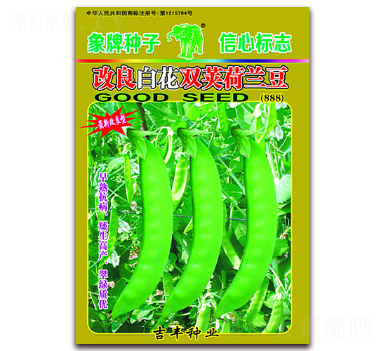 �����׻��p�v���m����888��-���m���N��-���S�N�I(y��)