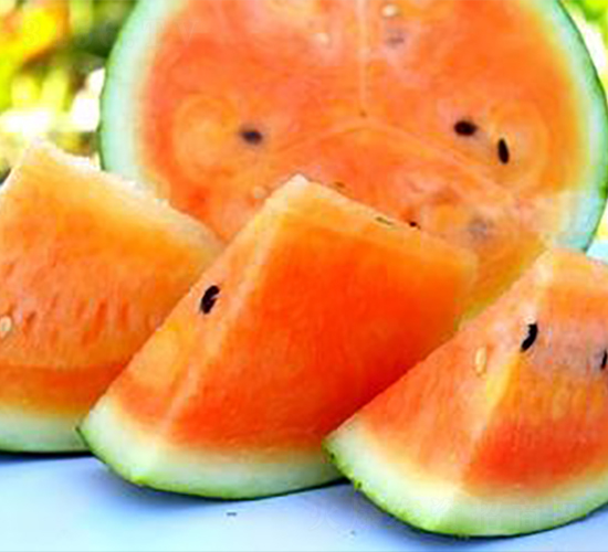 WA14-���ϷN��-�G�x�N�I(y��)