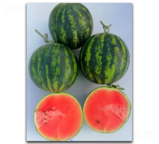 WA12-���ϷN��-�G�x�N�I(y��)