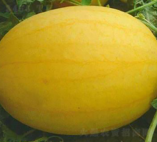 WA07-���ϷN��-�G�x�N�I(y��)