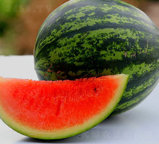 WA05-���ϷN��-�G�x�N�I(y��)