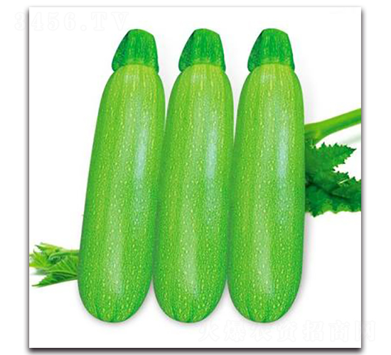 SA08-�����J�N��-�G�x�N�I(y��)