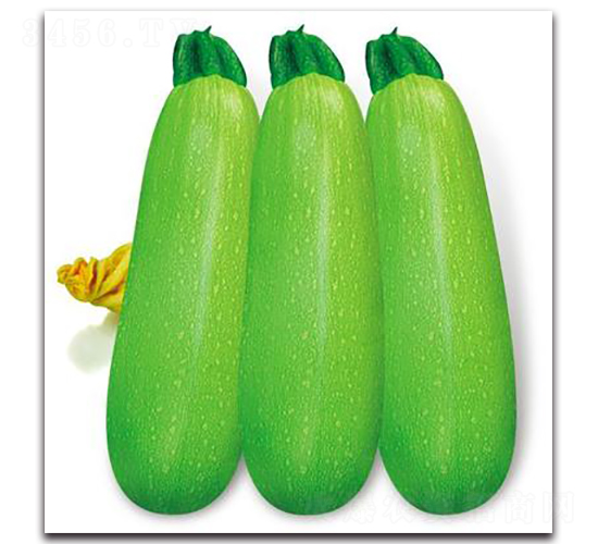 SA07-�����J�N��-�G�x�N�I(y��)