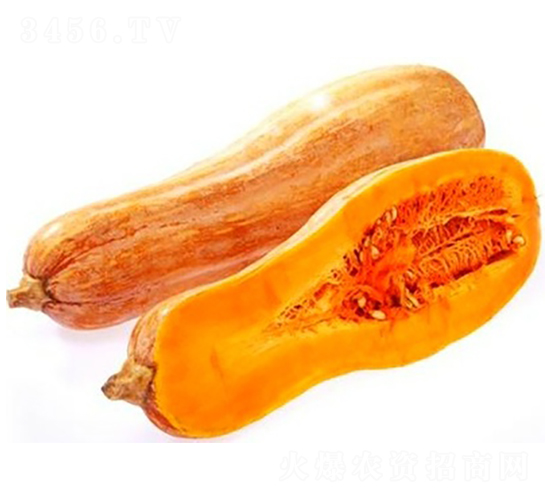 PA03-�ϹϷN��-�G�x�N�I(y��)