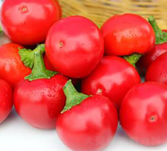 PA18-�����N��-�G�x�N�I(y��)