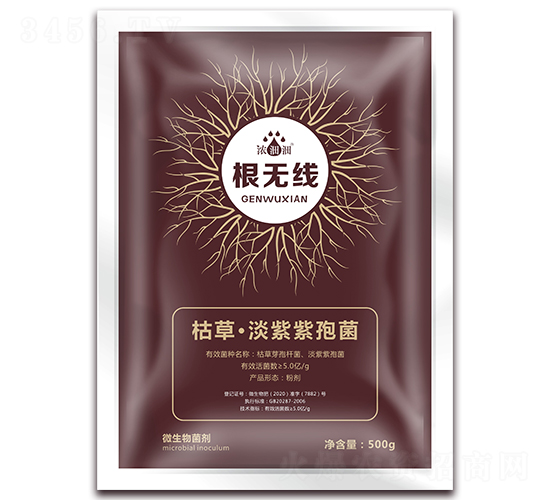 ���o����΢���������-��p�p-�������