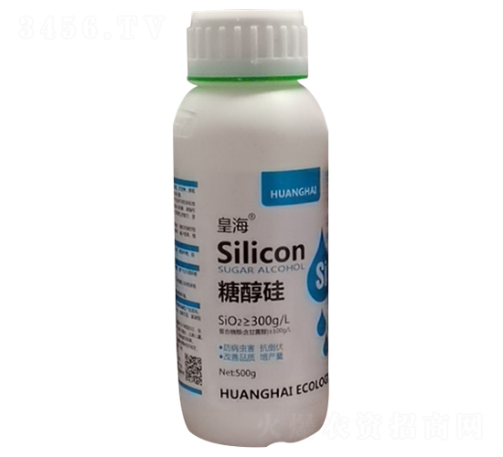 �Ǵ���-�ʺ�