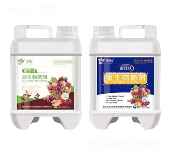 ΢�������-������-�ʺ�