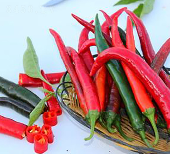 PA17-�����N��-�G�x�N�I(y��)