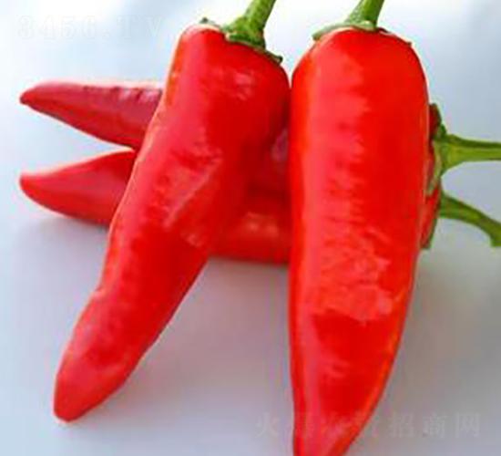 PA12-�����N��-�G�x�N�I(y��)