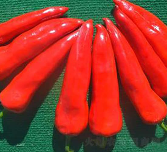 PA10-�����N��-�G�x�N�I(y��)