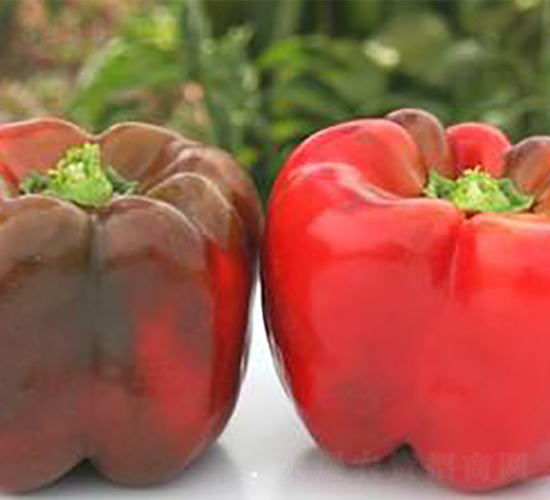 PM60-�����N��-�G�x�N�I(y��)