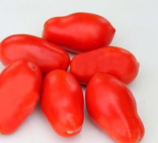 TA14-���ѷN��-�G�x�N�I(y��)