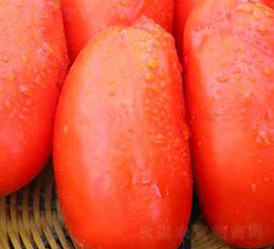 TA13-���ѷN��-�G�x�N�I(y��)