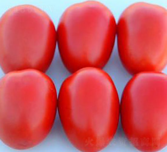 TA12-���ѷN��-�G�x�N�I(y��)