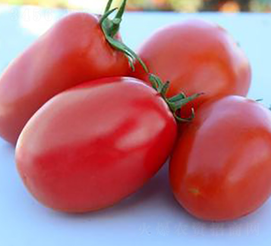 TA11-���ѷN��-�G�x�N�I(y��)