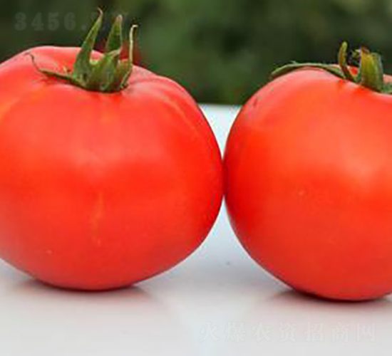 TM199-���ѷN��-�G�x�N�I(y��)