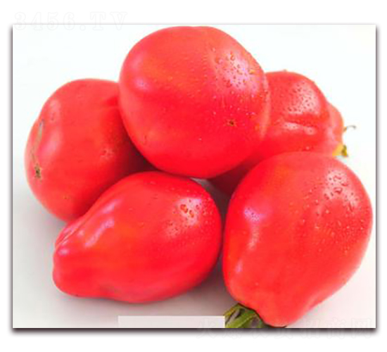 TM189-���ѷN��-�G�x�N�I(y��)