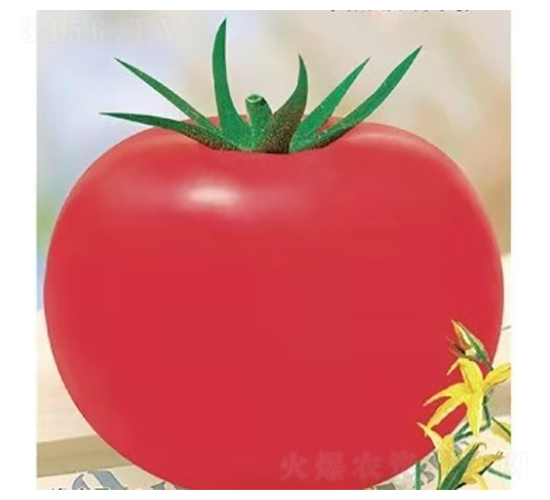 TA09-���ѷN��-�G�x�N�I(y��)